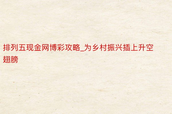 排列五现金网博彩攻略_为乡村振兴插上升空翅膀